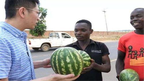 最新黑料吃瓜在线,吃瓜群众在线围观