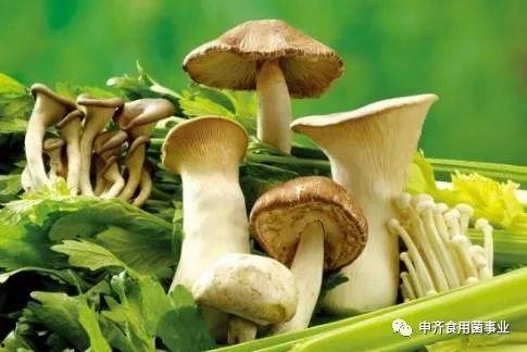 黑料吃瓜张津瑜蘑菇,揭秘娱乐圈背后的黑料与真相