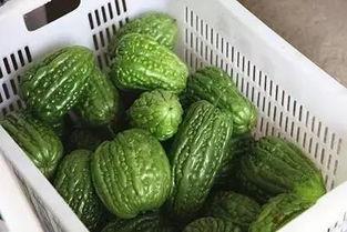 51黑瓜吃料网干什么的,专业食材信息平台深度解析
