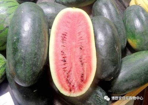 黑瓜吃料每日更新