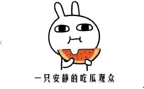 热门黑瓜吃料